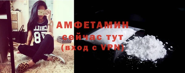 сатива Куйбышев