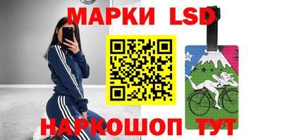 спиды Кингисепп