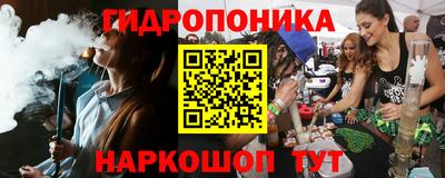 спиды Кингисепп