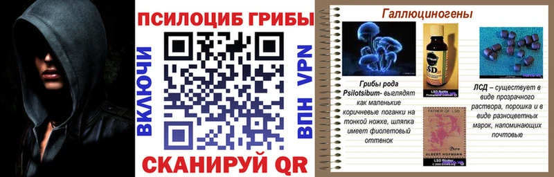 Псилоцибиновые грибы мухоморы  Мелеуз 