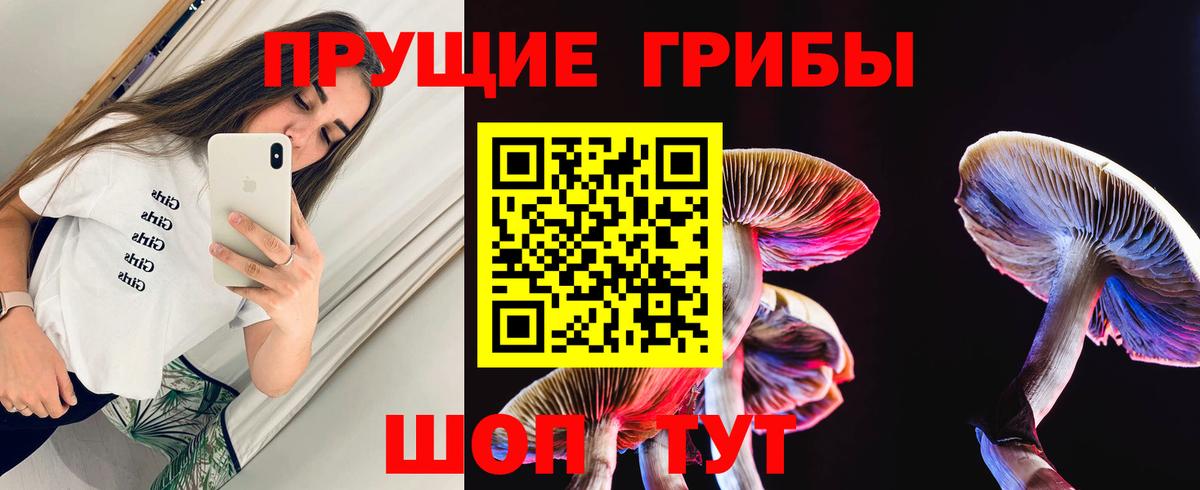 Псилоцибиновые грибы Psilocybe Мелеуз